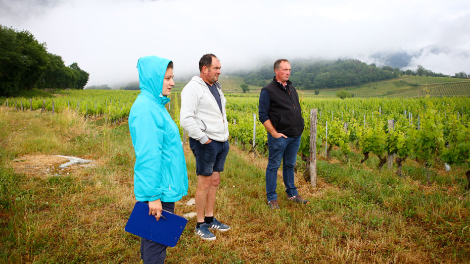 De gauche à droite, Johanna Mamassian-Roy, Eric Carrel et David Dupasquier © Christophe Boulze